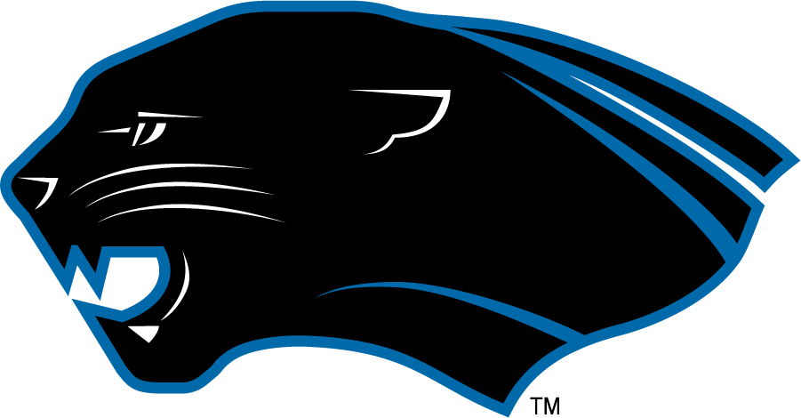 Eastern Illinois Panthers 2000-2008 Secondary Logo diy iron on heat transfer